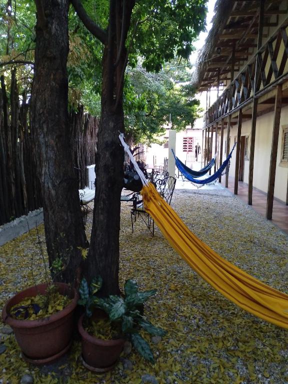 Fotografie z fotogalerie ubytování Hotel Loro Tuerto v destinaci Santa Cruz de Barahona