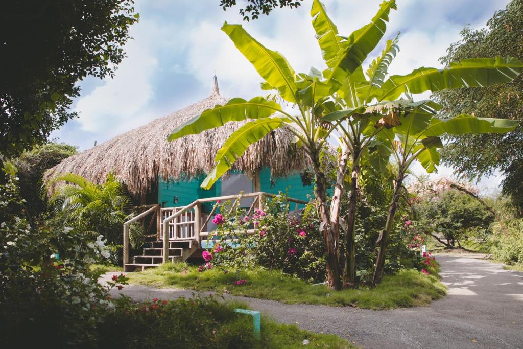 a green house with a thatched roof and flowers at Mondi Lodge in Sint Michiel