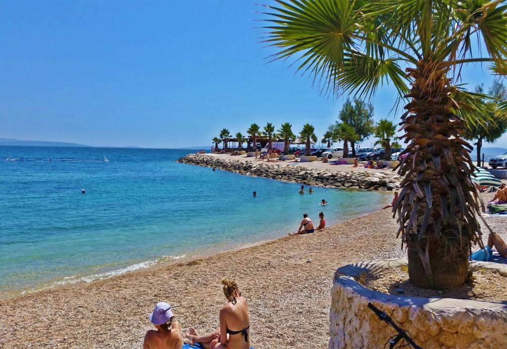 a group of people on a beach with a palm tree at Apartments Emi in Split