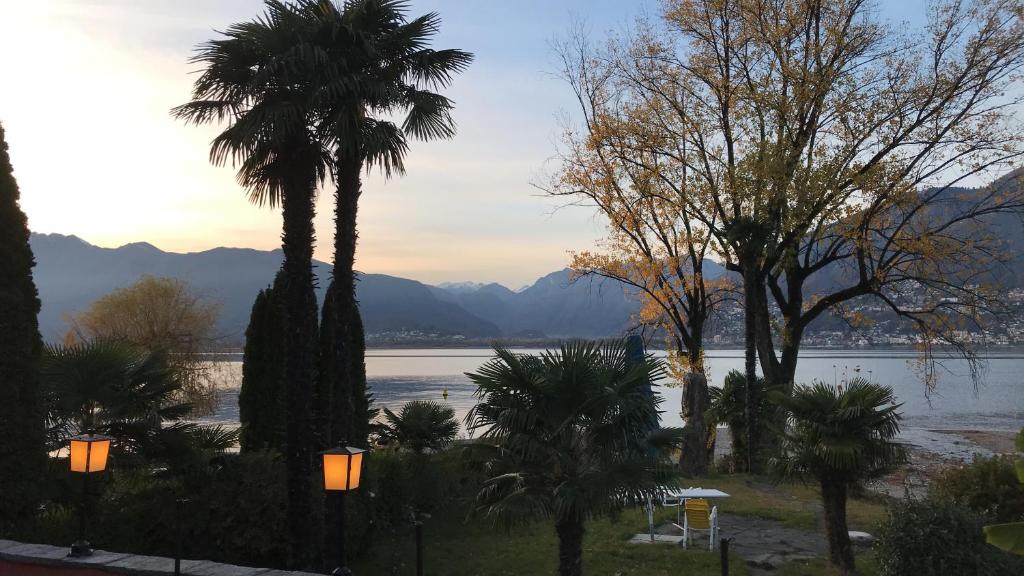 a group of palm trees in front of a lake at La Riva in Vira