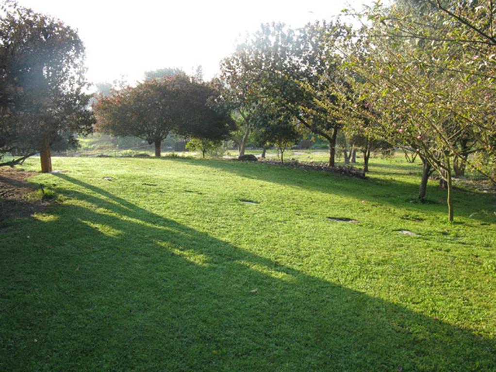 A garden outside Amikam Meshek 81 משק 81 עמיקם