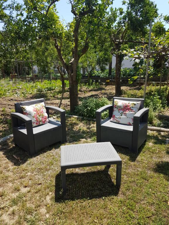 Zahrada ubytování Casa Aristide