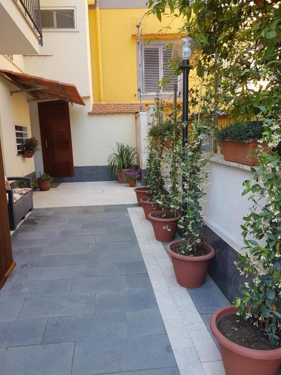 Zahrada ubytování Casa Aristide
