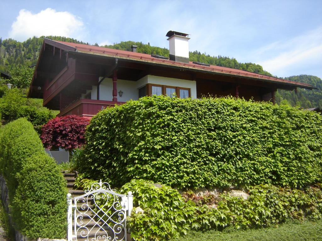 ライト・イム・ヴィンクルにあるAlpen-Chalet-Sol-Alpiumの大茂みの裏の家