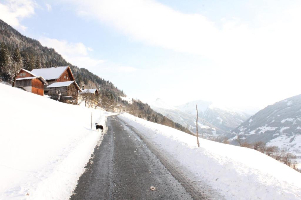 Bauernhof Grussberggut during the winter