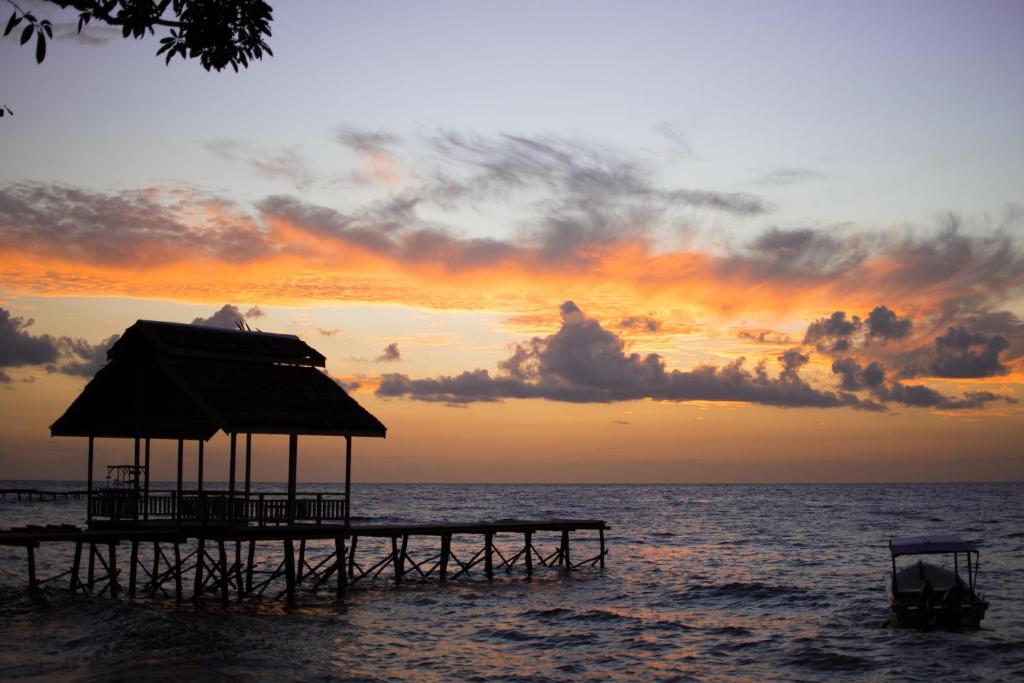Pristine Paradises Magic Homes