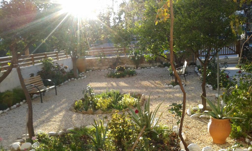 a garden with benches and plants in the sun at Kampos Rooms in Palaiochora