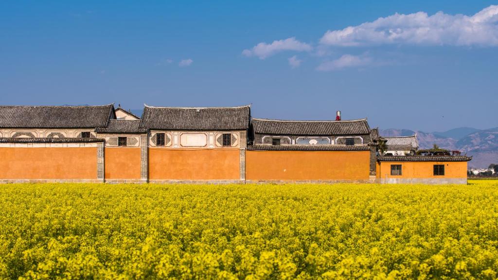 a building in the middle of a field of yellow flowers at The Linden Centre in Dali