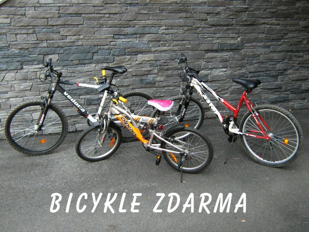 Jízda na kole v ubytování Apartmán KLAUDIA Tále nebo okolí