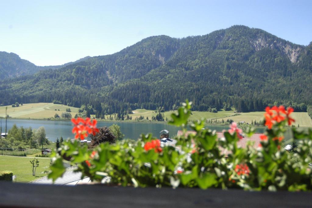 Fotografie z fotogalerie ubytování Hotel zum Weissensee v destinaci Weissensee