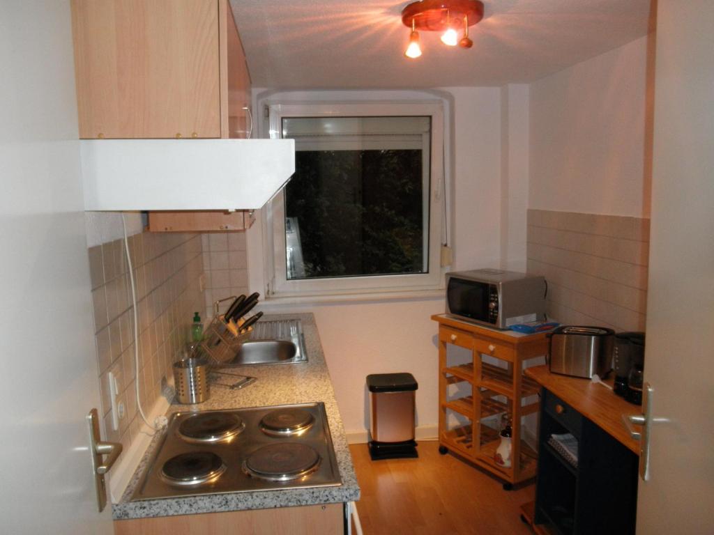 Apartment-Ferienwohnung Dresden-Briesnitz