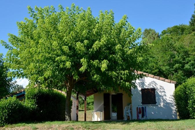 a small house with a tree in front of it at Les maisonnettes de bonneval in Jaujac