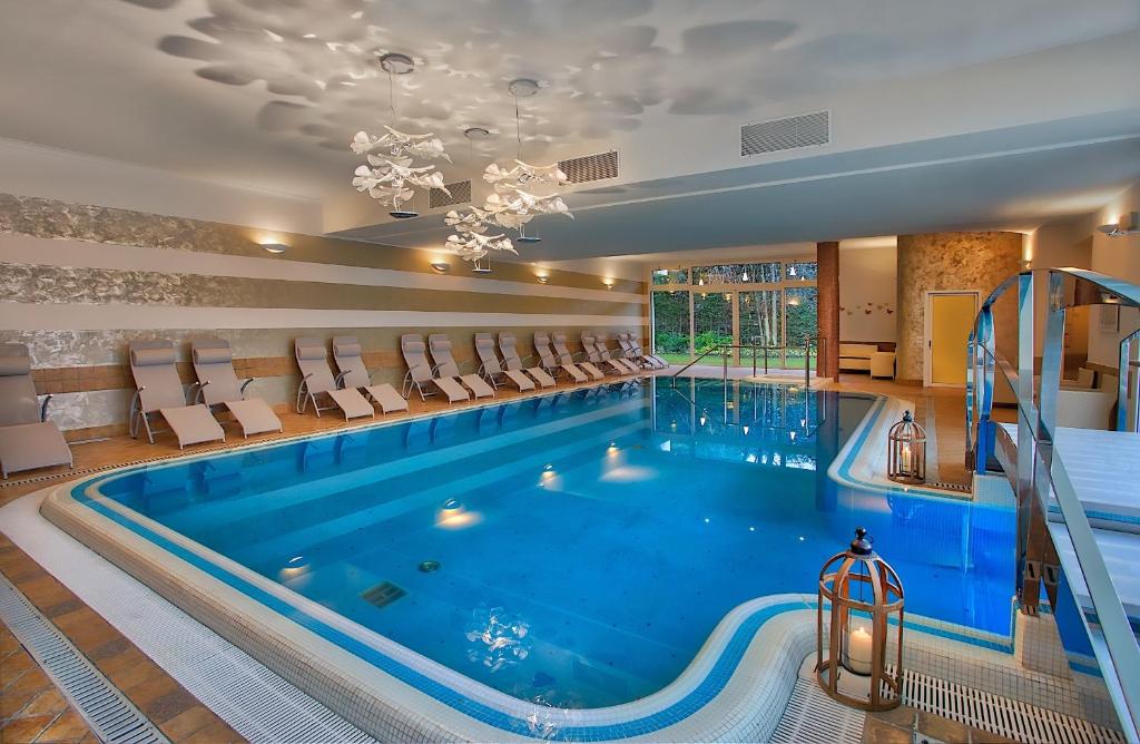Bazén v ubytování Hotel Eliseo Terme nebo v jeho okolí