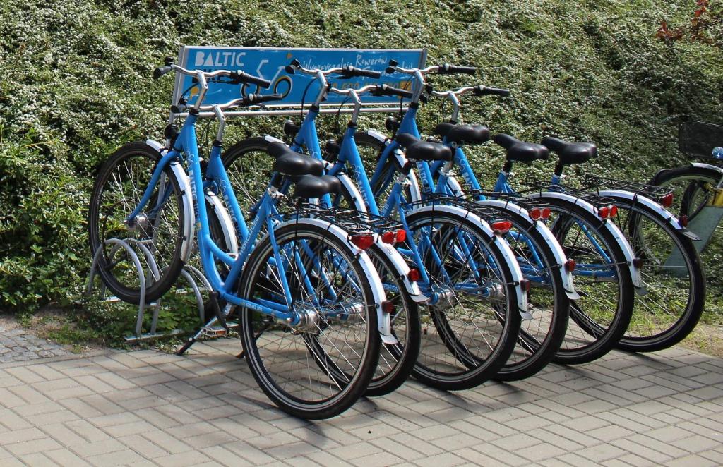 Jazda na bicykli v okolí ubytovania Wisełka PERŁA Bałtyku