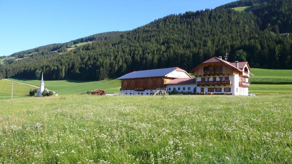 a large building in a field of grass with a hill at Appartamenti Stauderhof in Villabassa