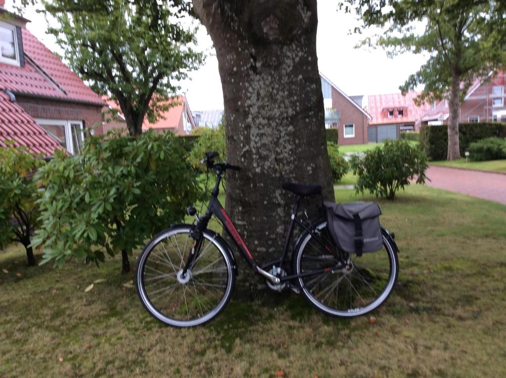 a bike is parked next to a tree at Ferienwohnung Albers in Blomberg