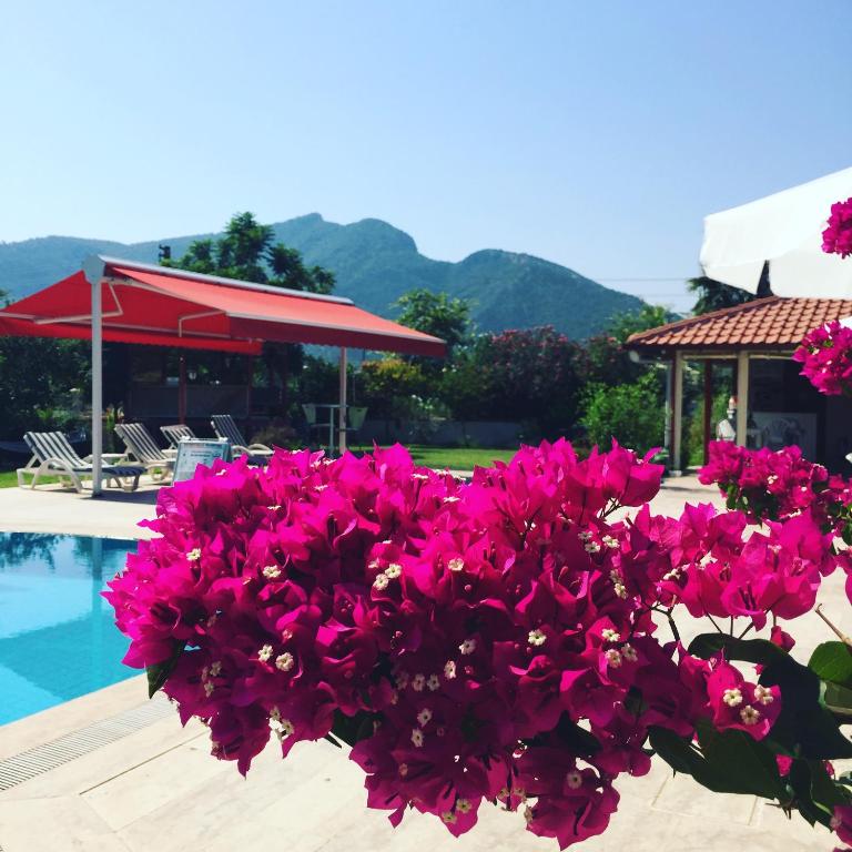 Bazén v ubytování Yaprak Hotel nebo v jeho okolí