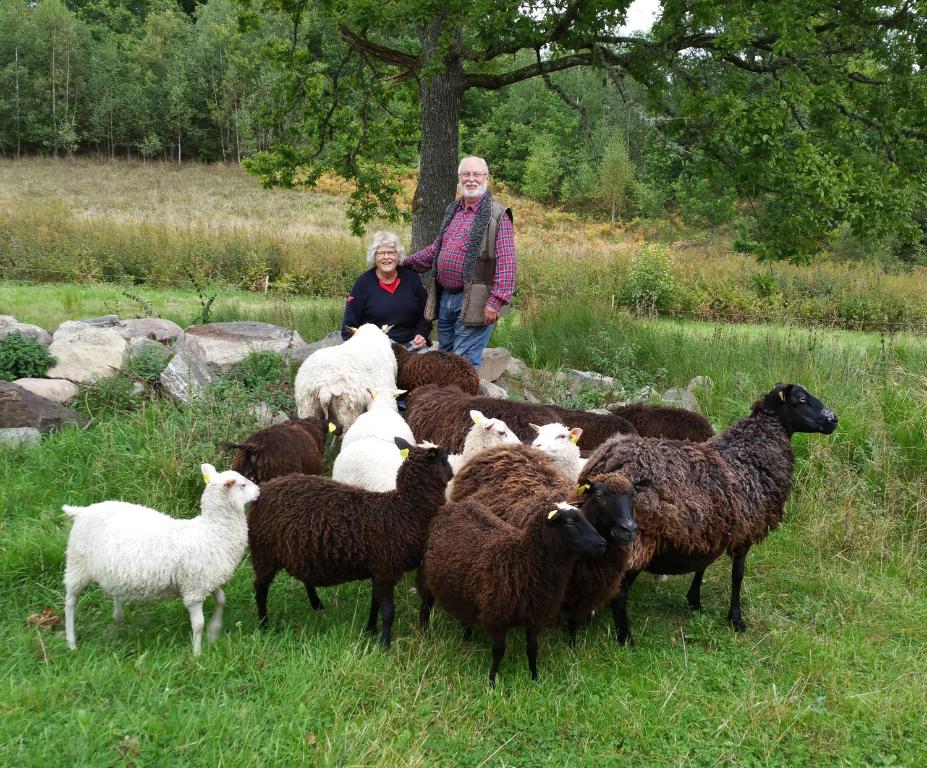 Tiere in diesem Bauernhof oder in der Nähe