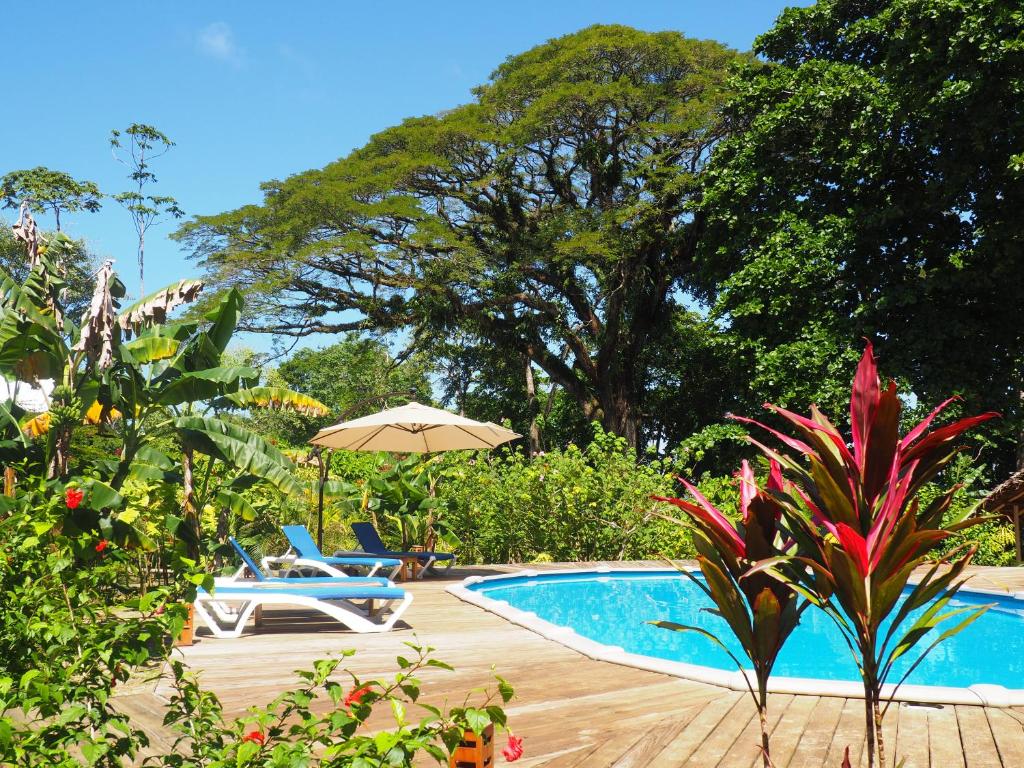 a swimming pool with two chairs and an umbrella at The Hummingbird in Bocas Town