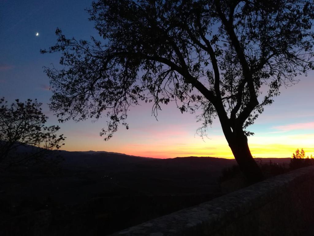 Casa Dolce Casa - 16