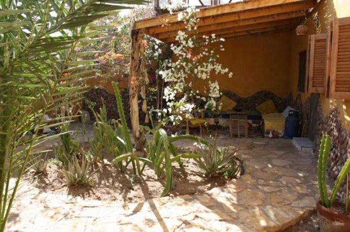 a patio with plants and a couch in a house at Jillyfish House, deine Oase in zwei Palmengärten, central am 'Lighthouse' in Dahab