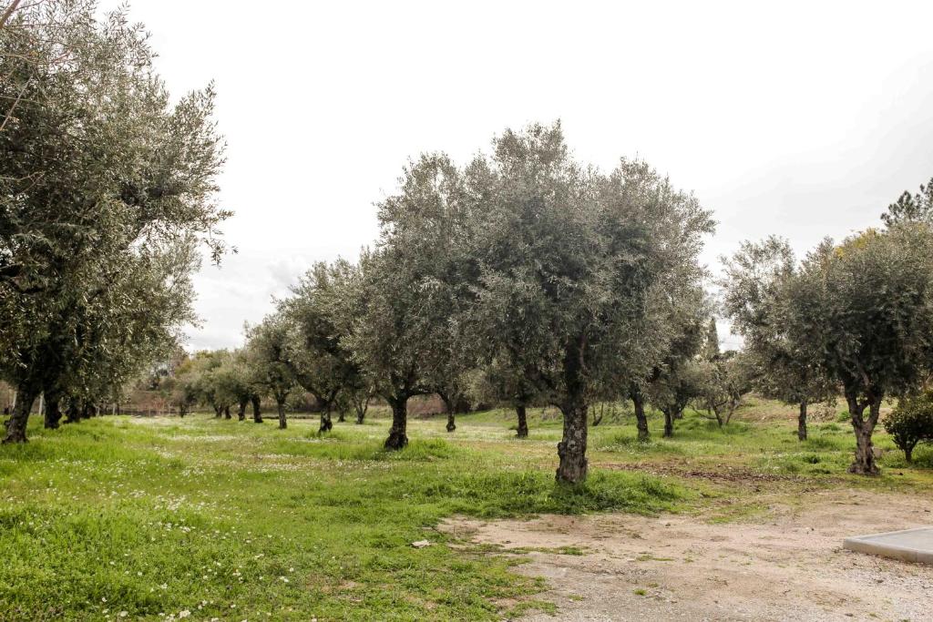 Paisagem natural perto of the country house