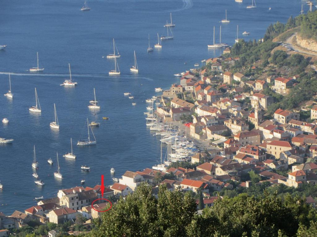 Příroda nedaleko apartmánu