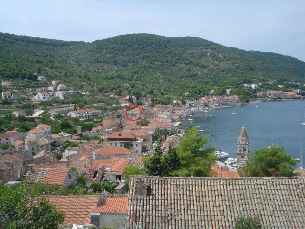 Příroda nedaleko apartmánu