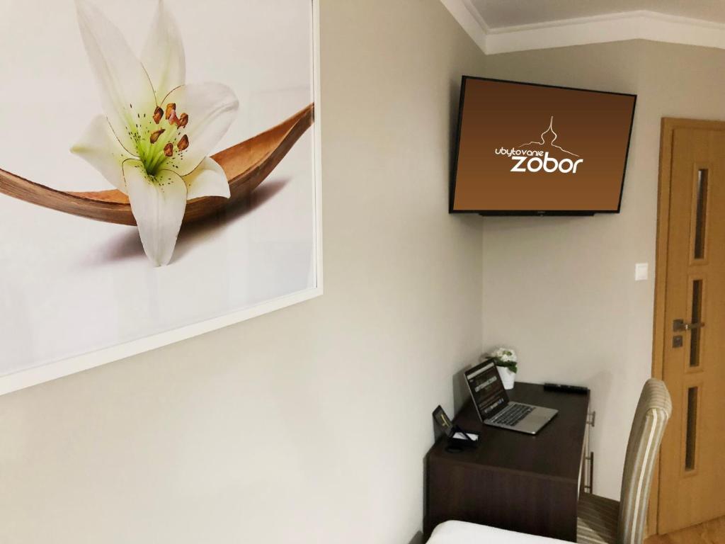 TV a/nebo společenská místnost v ubytování Ubytovanie Zobor