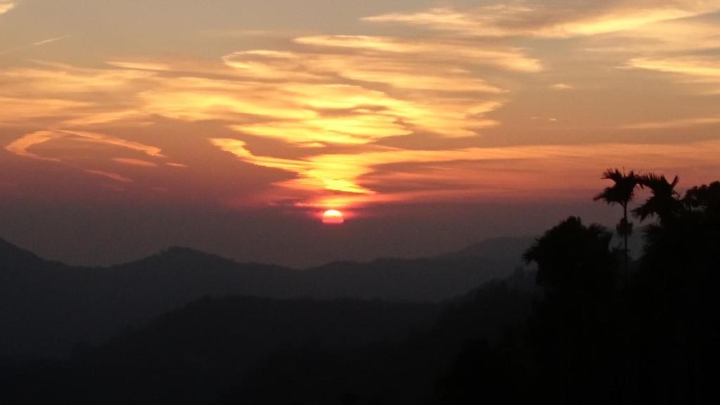 una puesta de sol con una palmera en primer plano en An Yun Mountain Homestay en Meishan
