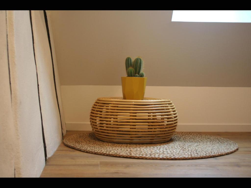 Elsass Design Hygge – photo 36