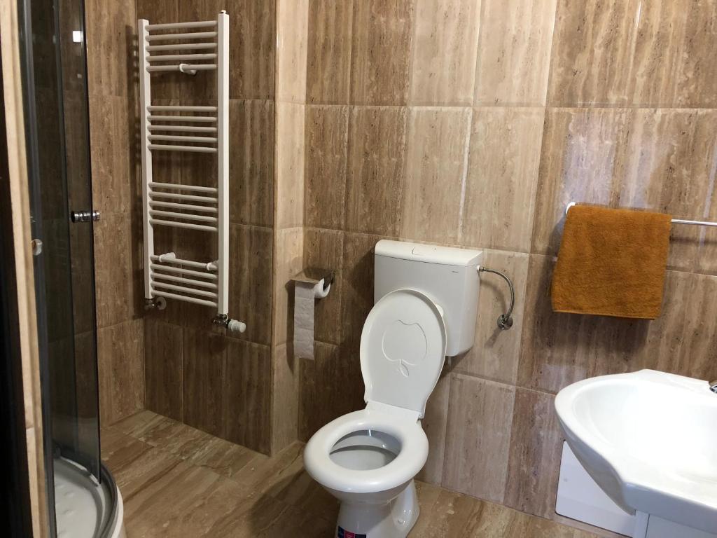 Koupelna v ubytování Pensiunea Mirela Peștera Urșilor