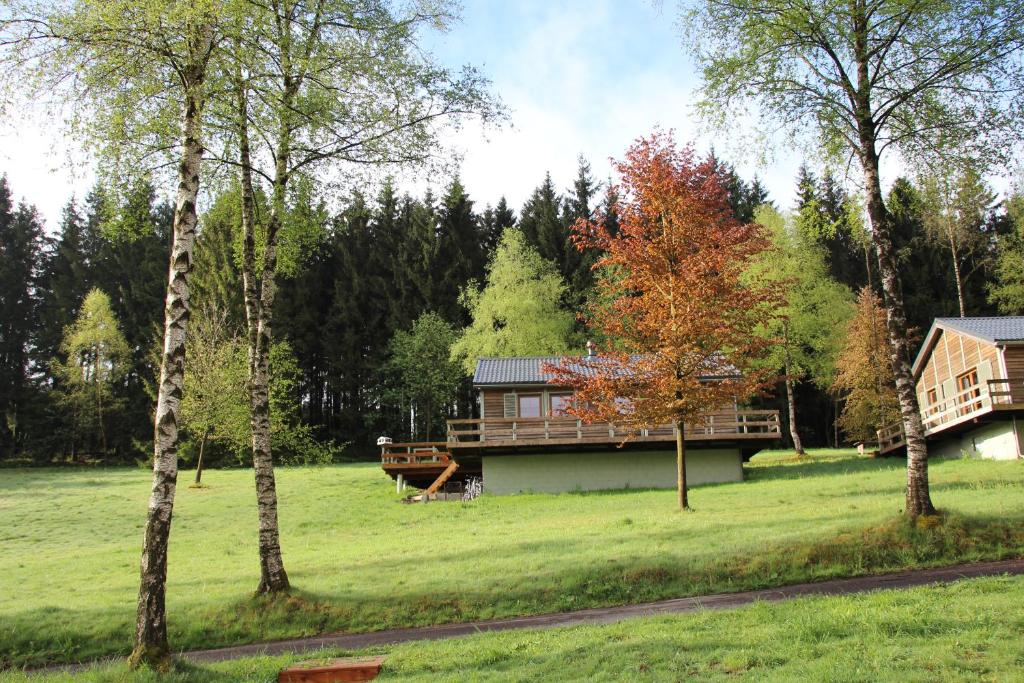 a house in the middle of a field with trees at Chalet Le Forestier in Bullange