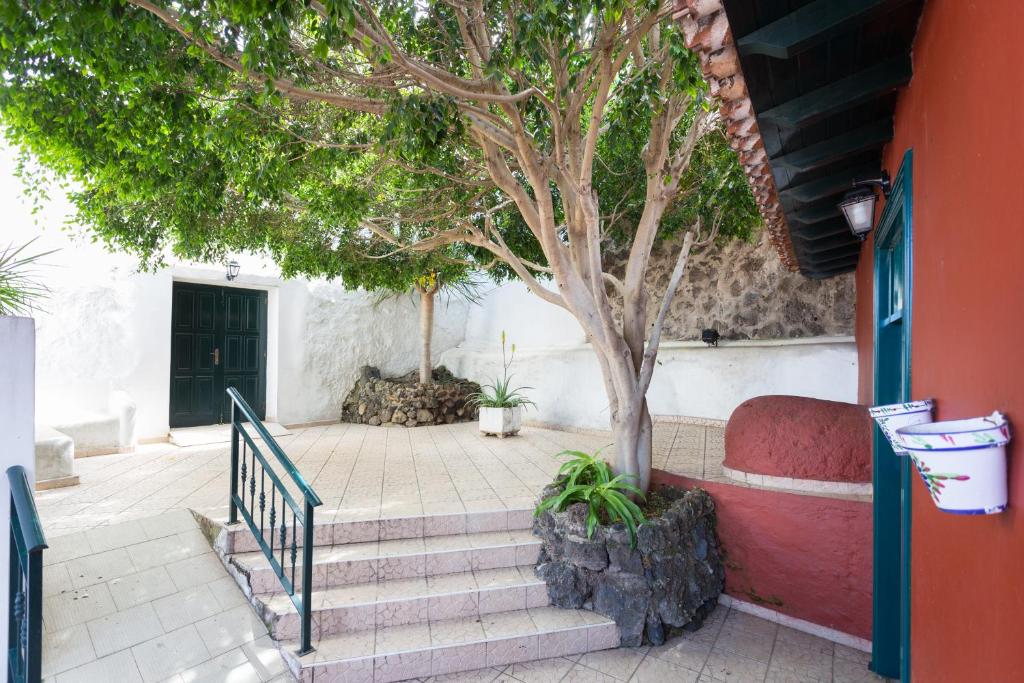 a staircase with a tree next to a door at Typical Canary House in Santa Úrsula
