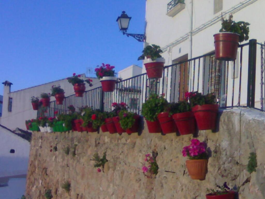 A garden outside Casilla Dalea en Carcabuey, descubre el interior de Andalucia