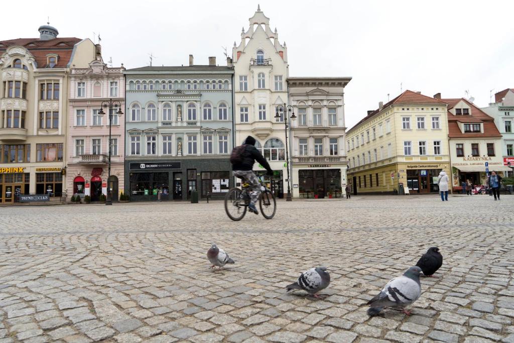Goście zatrzymujący się w obiekcie Apartamenty Batorego 2 - Stary Rynek