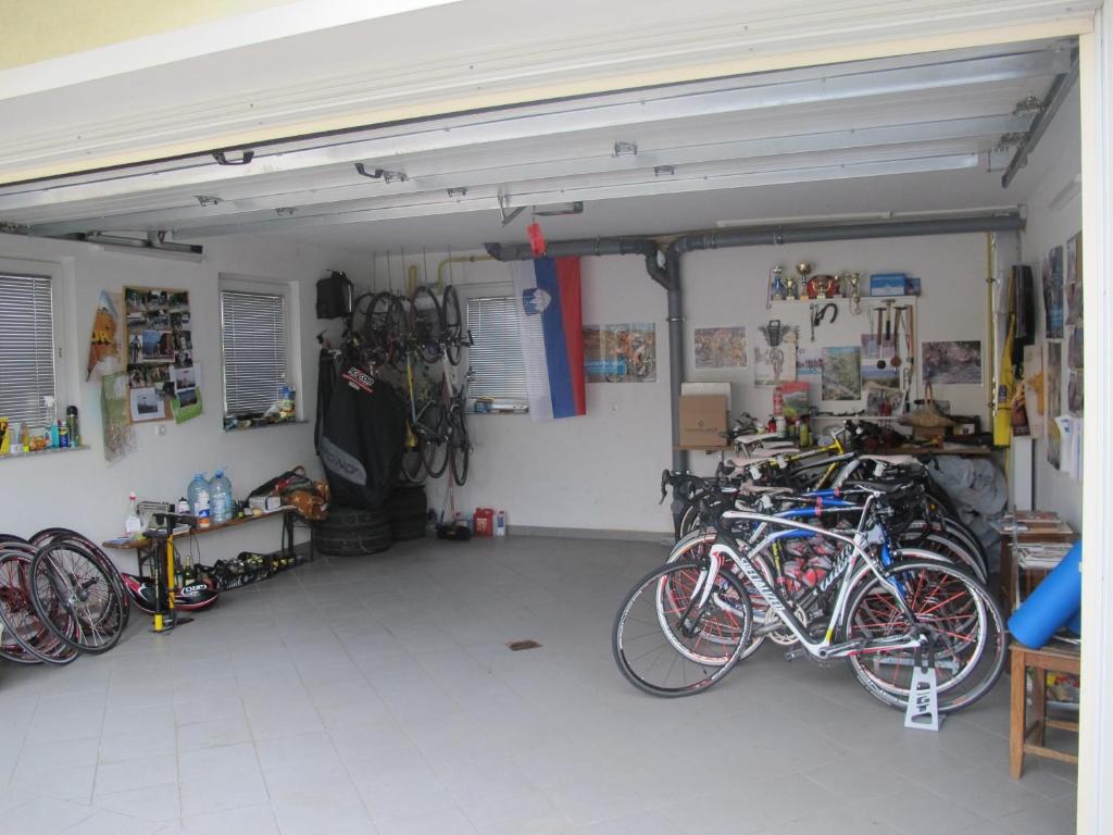 Jízda na kole v ubytování Apartment Sobe Ravbar nebo okolí