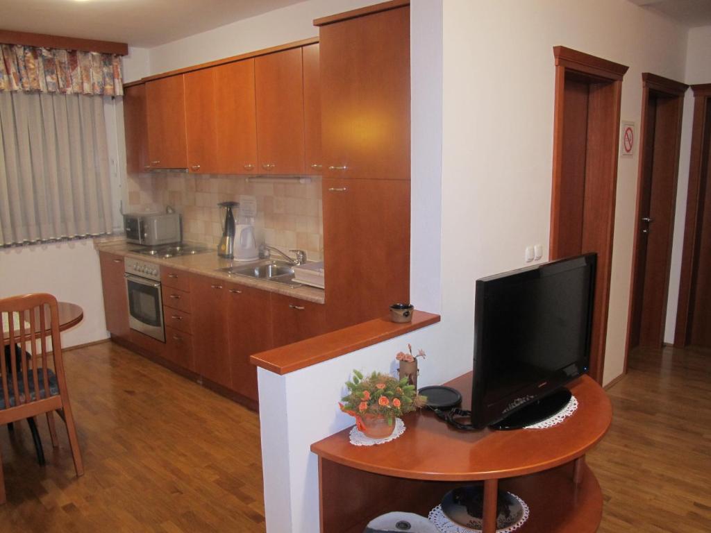Kuchyň nebo kuchyňský kout v ubytování Apartment Sobe Ravbar