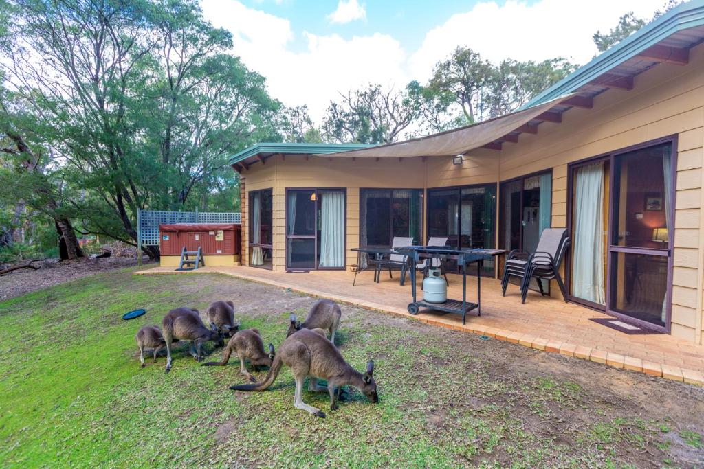 Gallery image of Yelverton Brook Conservation Sanctuary in Metricup