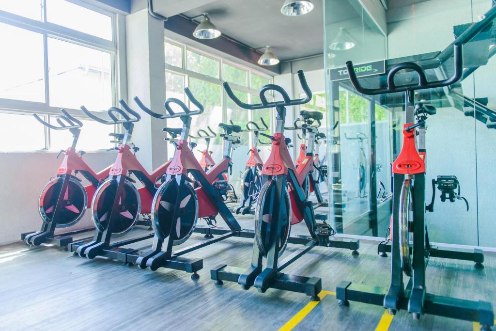 Fitness centrum a/nebo fitness zařízení v ubytování The Somerset Hotel