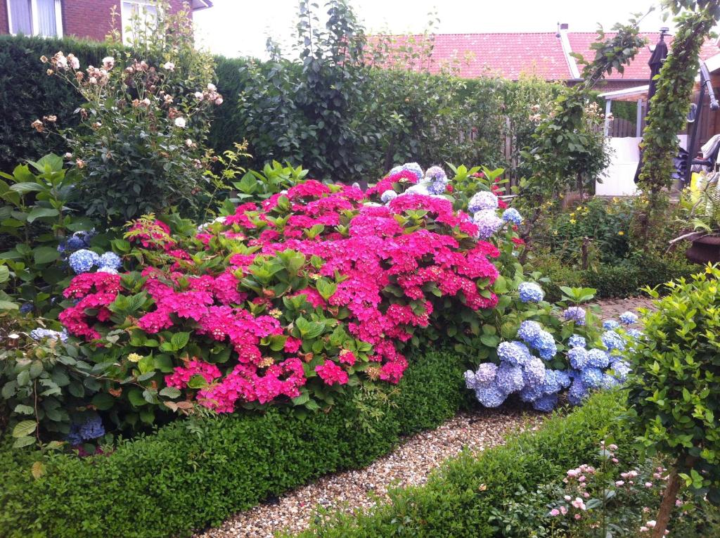 Zahrada ubytování Chalet or Apartment nearby Roermond Outlet