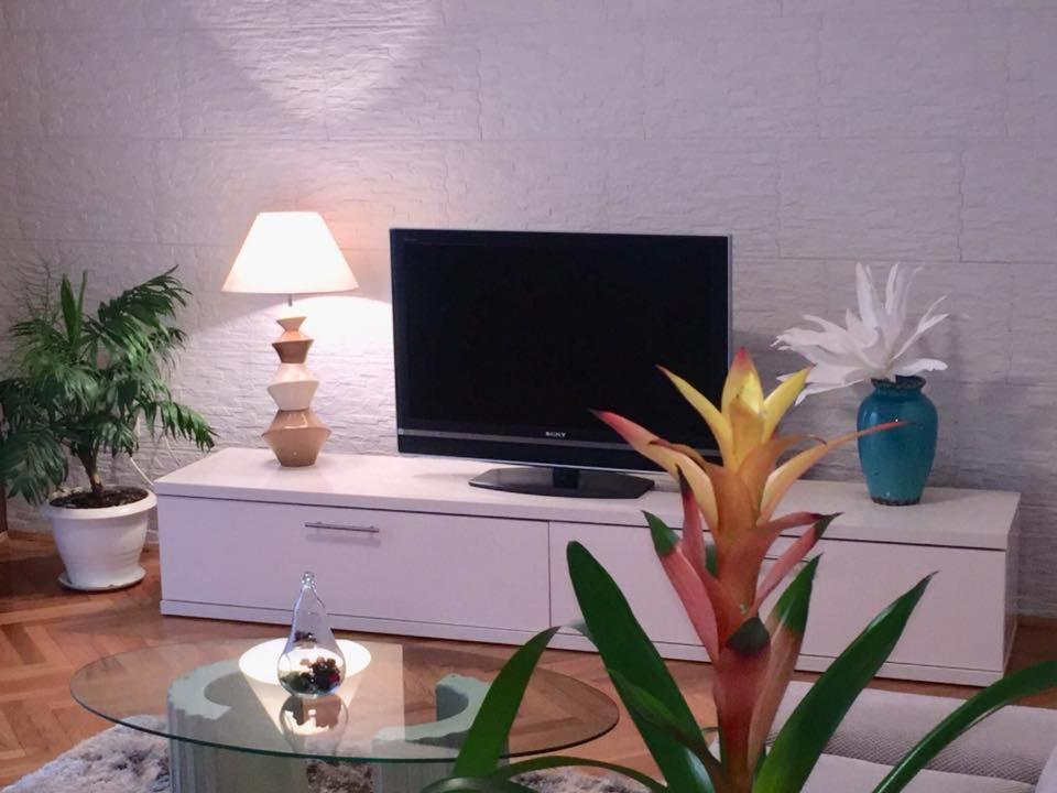 Telewizja i/lub zestaw kina domowego w obiekcie Kuća za odmor "Barbenjak"