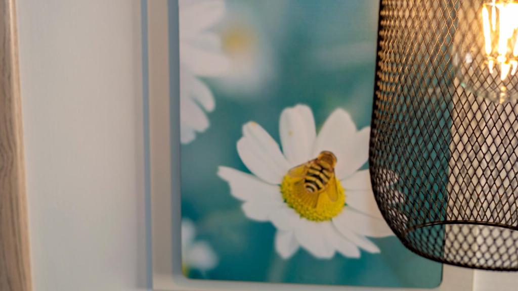 Olive House Apartments - 19