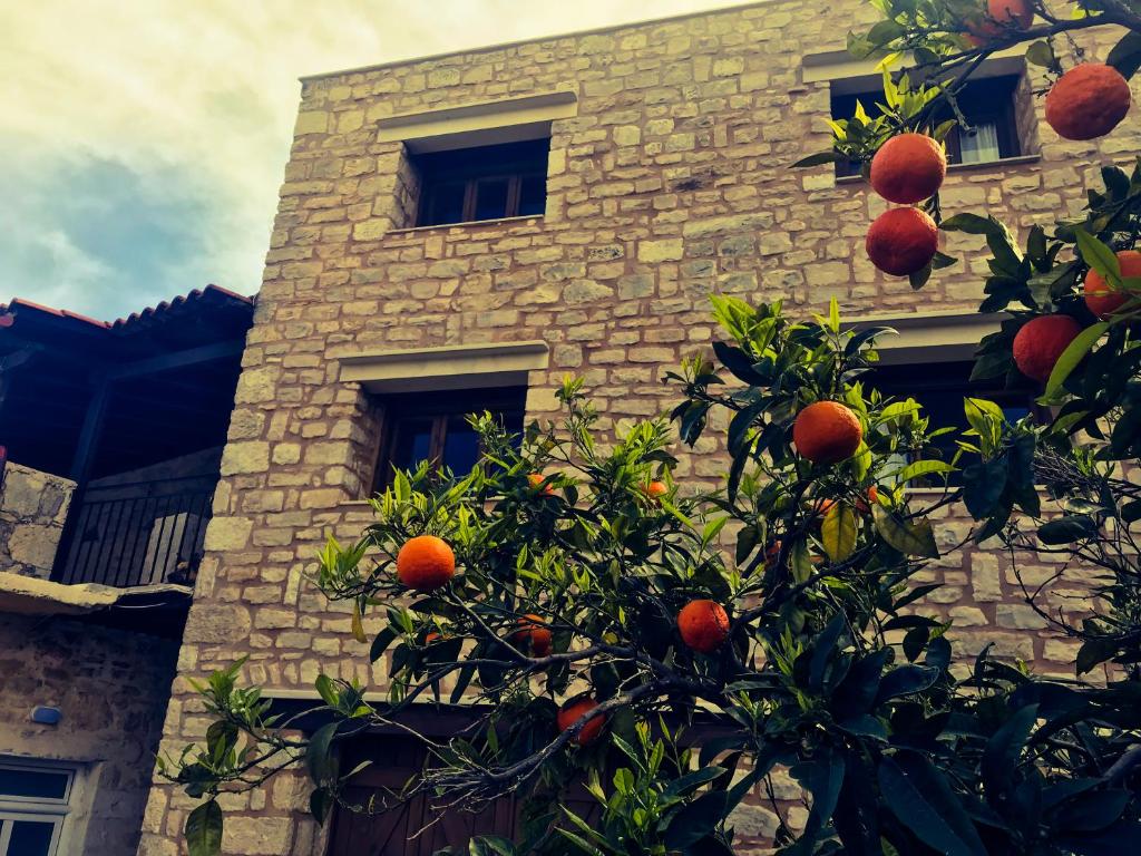 The building in which the country house is located