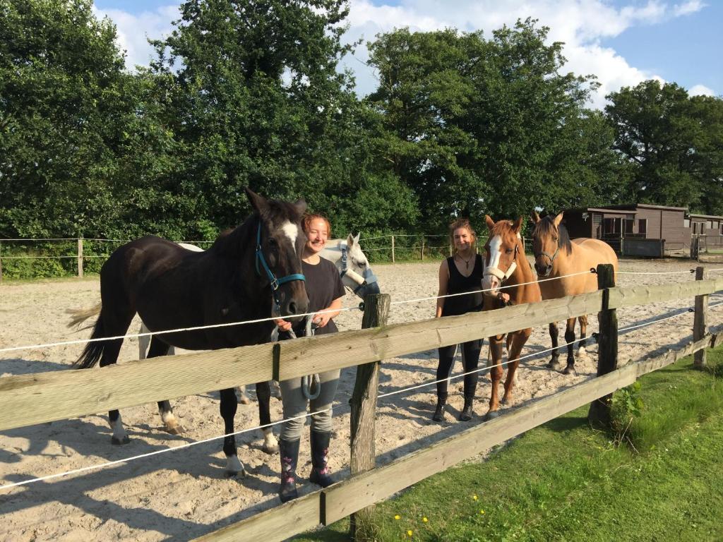 un grupo de mujeres de pie junto a una valla con caballos en Ferienhof Welsch, en Timmel