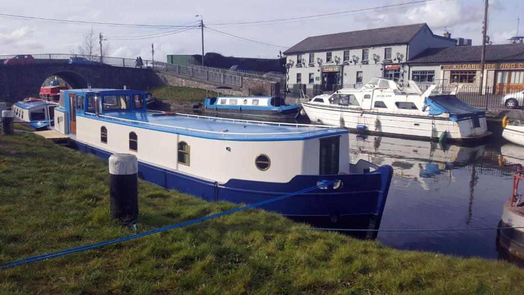 a blue and white boat is docked in the water at Roisin Dubh Houseboat in Sallins