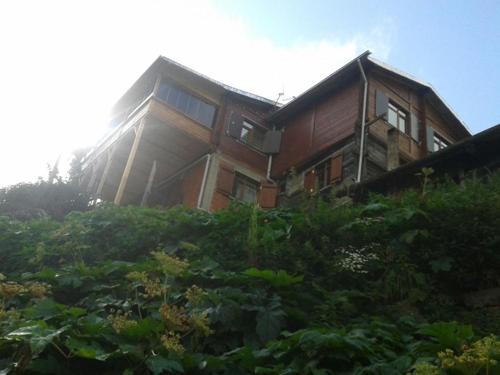 dom na wzgórzu z roślinnością przed nim w obiekcie Helal Apart w mieście Uzungöl