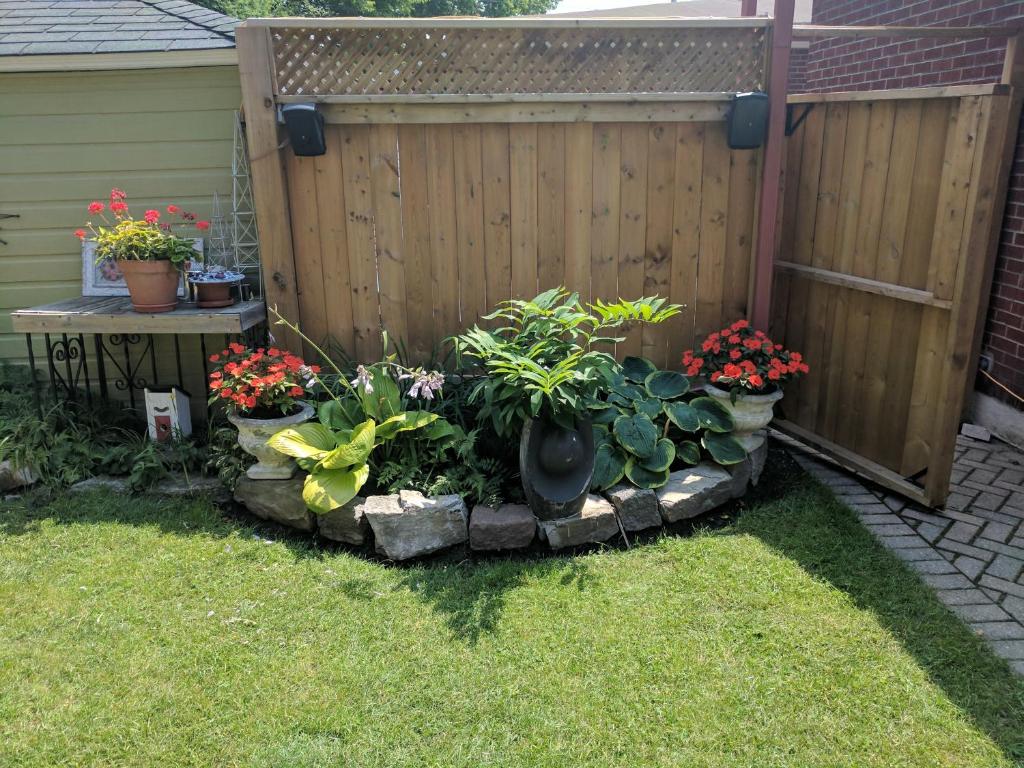 einen Garten mit einem Zaun und einem Haufen Pflanzen in der Unterkunft Elcho's ExplOre Ottawa #3 in Ottawa