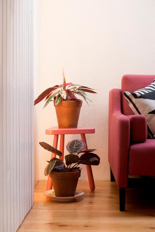 Patio São Vicente - 10