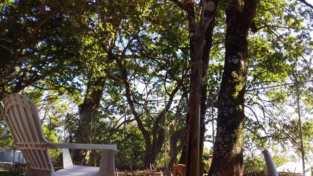deux chaises blanches assises devant un arbre dans l'établissement Nature house, à Monteverde Costa Rica